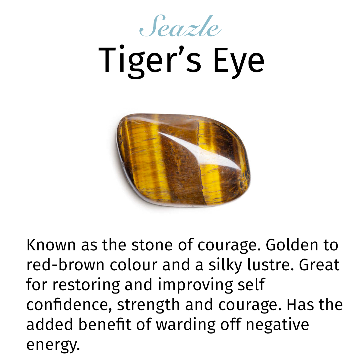 Oval Tiger Eye Necklace